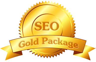 our premium local business seo package